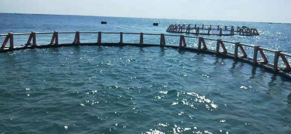 Marine Aquaculture: sea cages Project East of Port Said