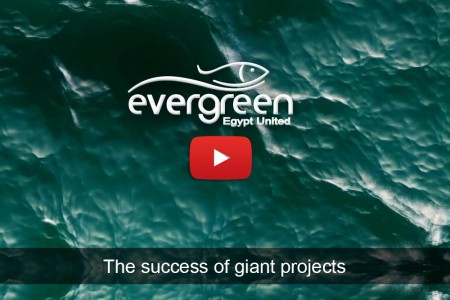 Evergreen Aquaculture